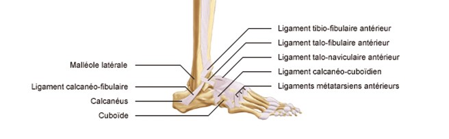 Conflit antérieur de la cheville | Dr Paillard, orthopédiste à Paris