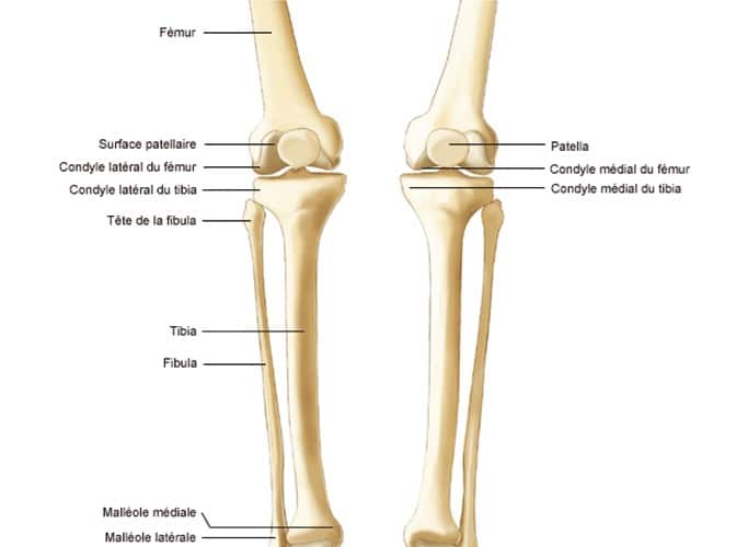 Définition, symptômes et diagnostic de la fracture du genou | Dr ...